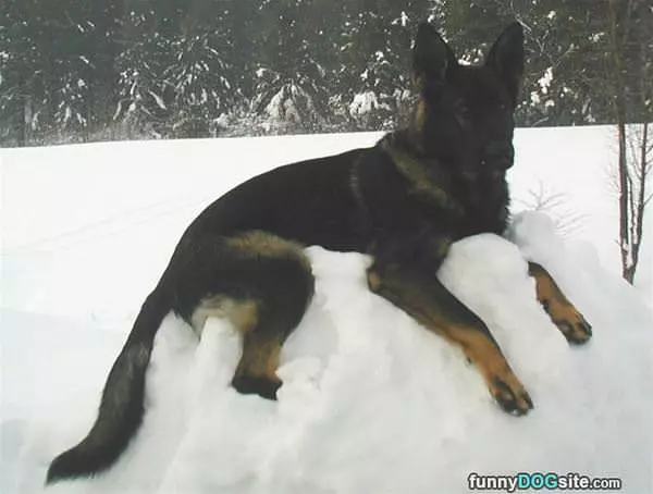 Chilling In The Snow
