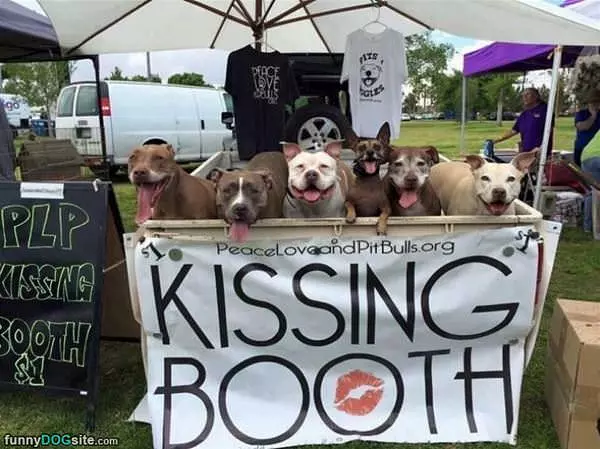 The Kissing Booth
