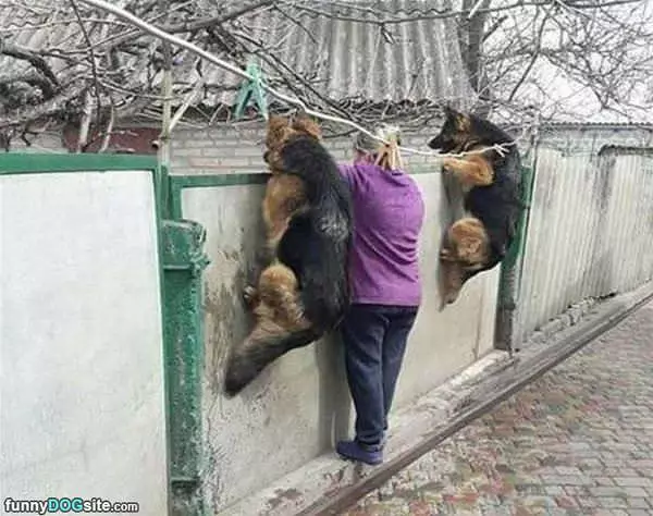 Hey What Is Over Here