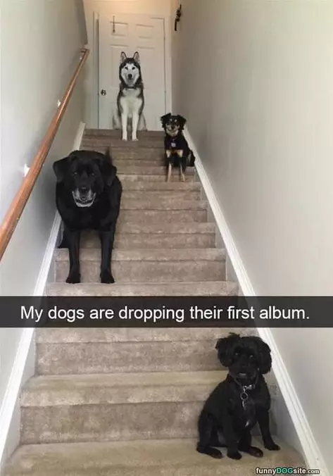 Dropping An Album