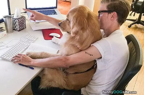 Doing Some Internets