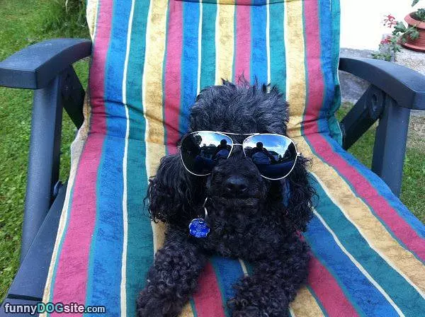 My Cool Glasses