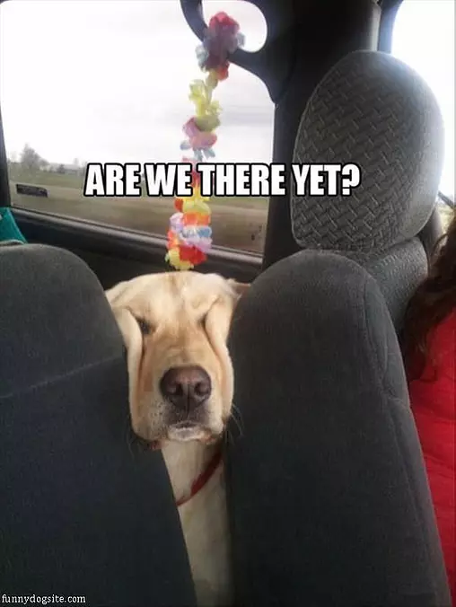 Are We There Yet