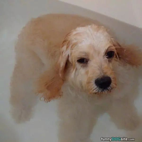 I Hate Baths