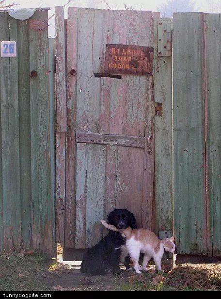 Caught A Cat