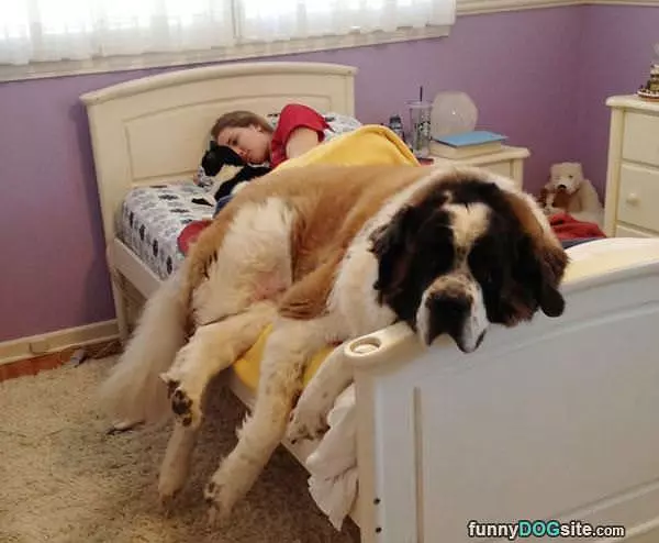 Need A Bigger Bed