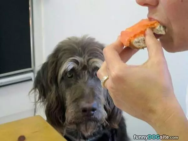 Can I Have A Bite