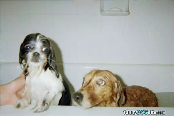 Bath Time