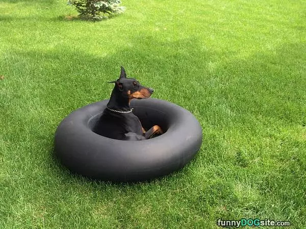 Circle Of Trust