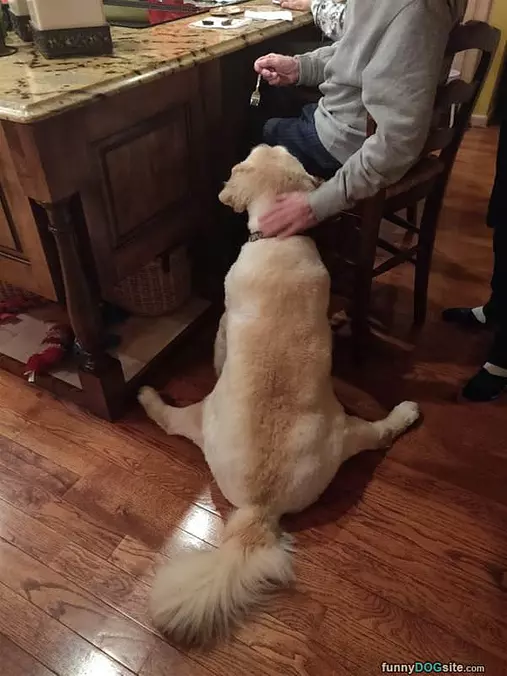 Waiting For Our Snacks