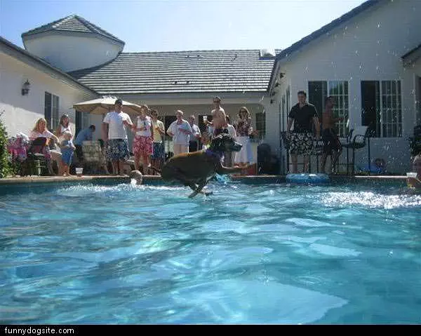 Water Walker