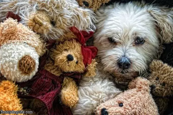 Hiding