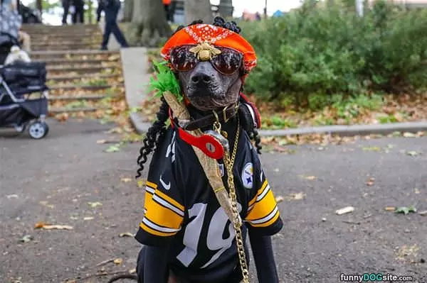 Stealers Fan