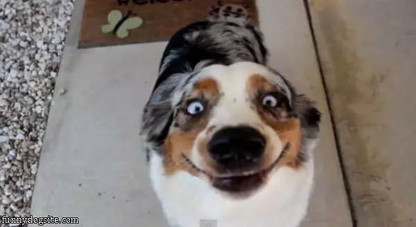 Smile For The Camera