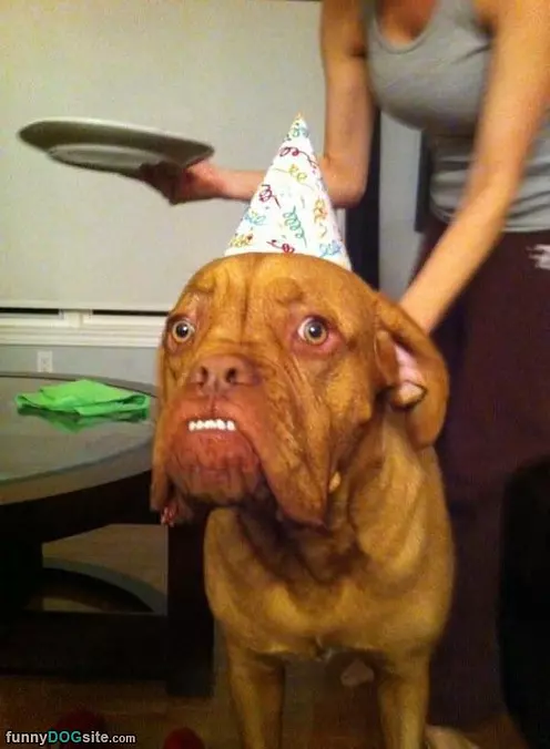 My Big Birthday