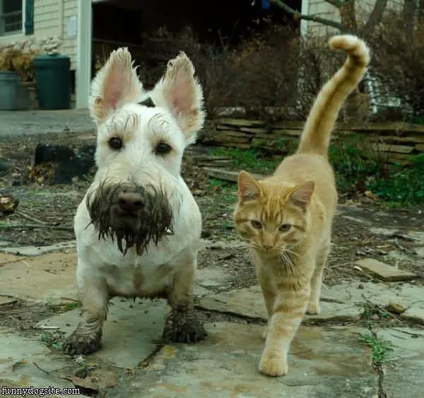 My Muddy Face