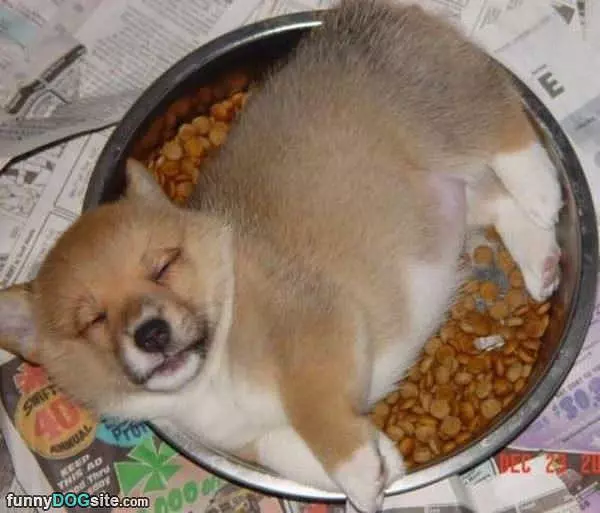This Makes Me So Sleepy