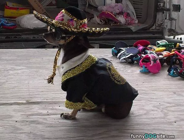 Hola Amigo