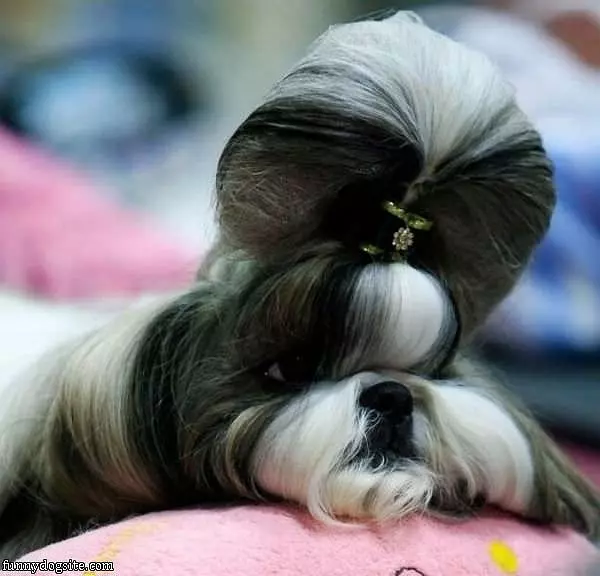Very Nice Hair