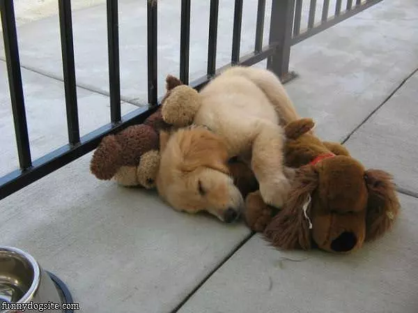 Asleep With My Friend