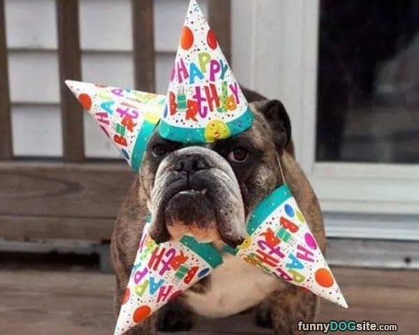 Yes Its My Birthday