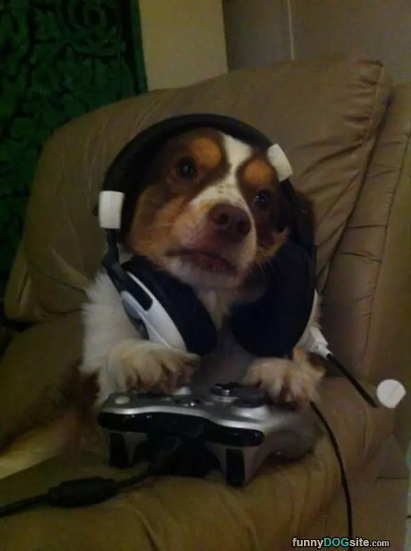 I Need A Better Headset