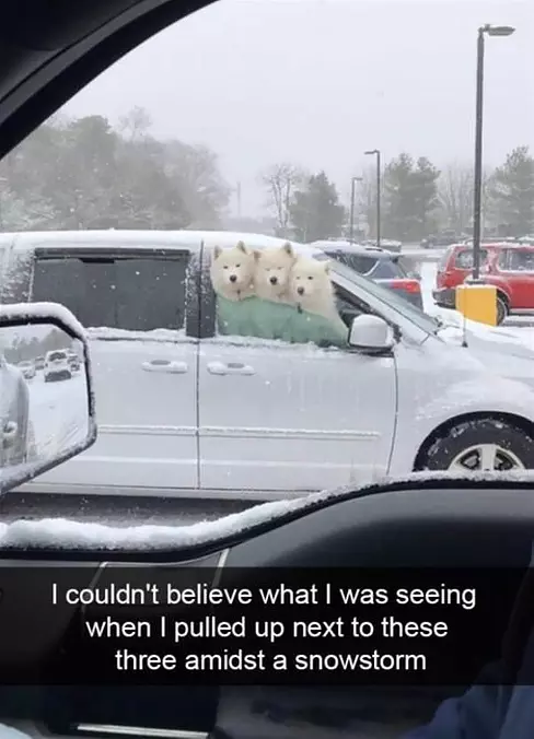 Pulled Up Next To These