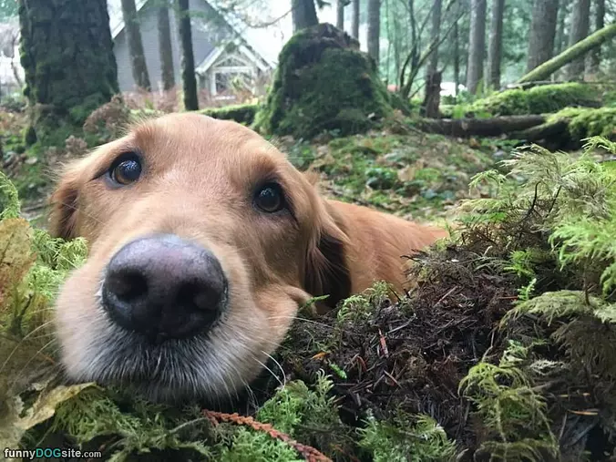 Hey There