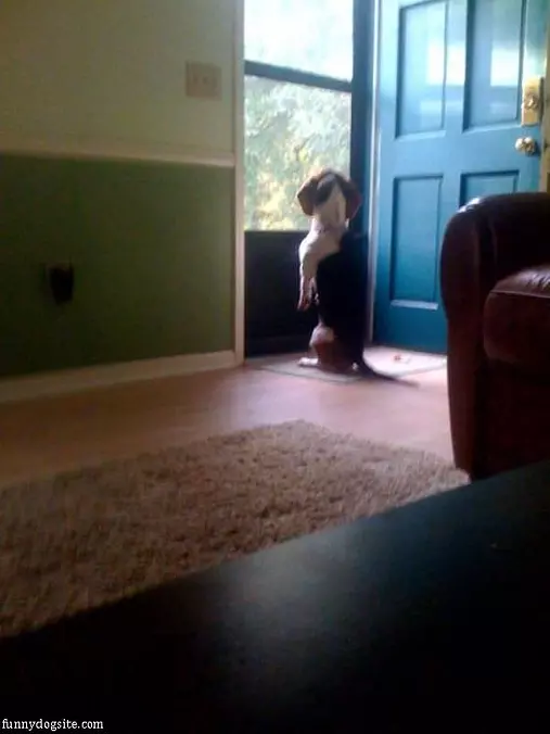 Whats Outside