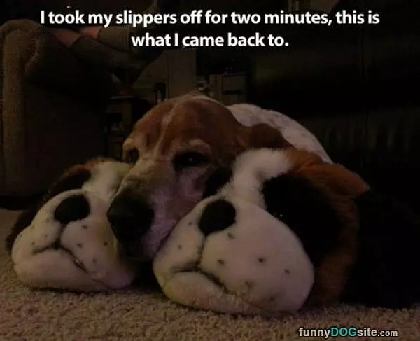 Took My Slippers Off