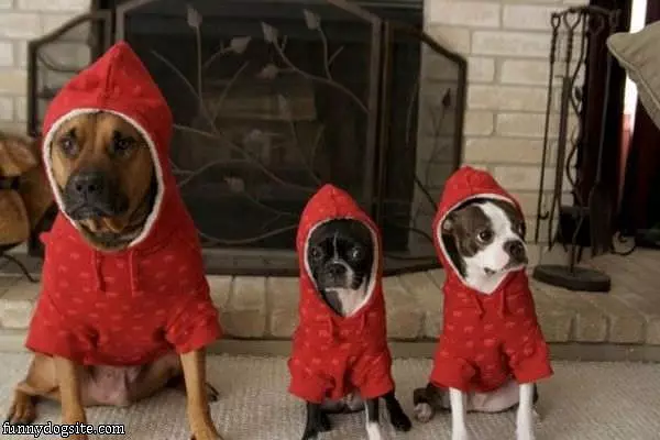 Got Our Hoods