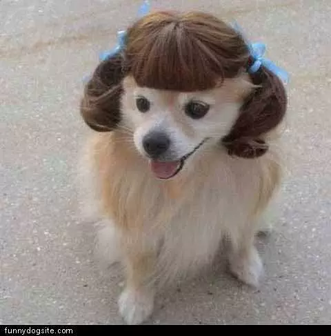 Nie Wig