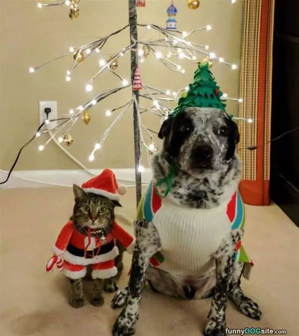 Looking A Lot Like Christmas