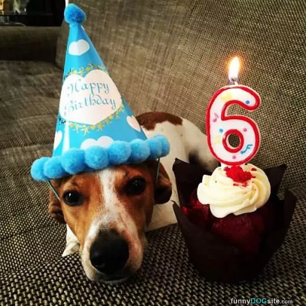 I Am 6 Today