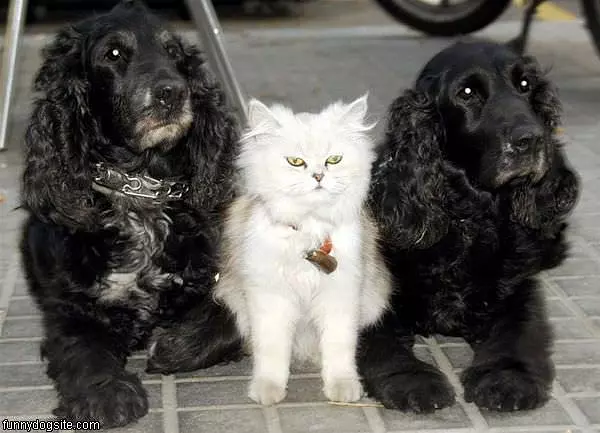 Friends
