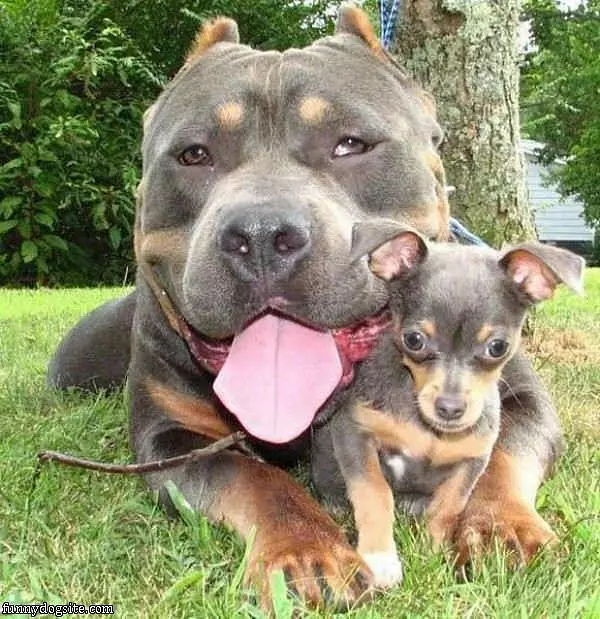 The Big And Little