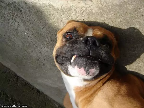 Arent I Cute