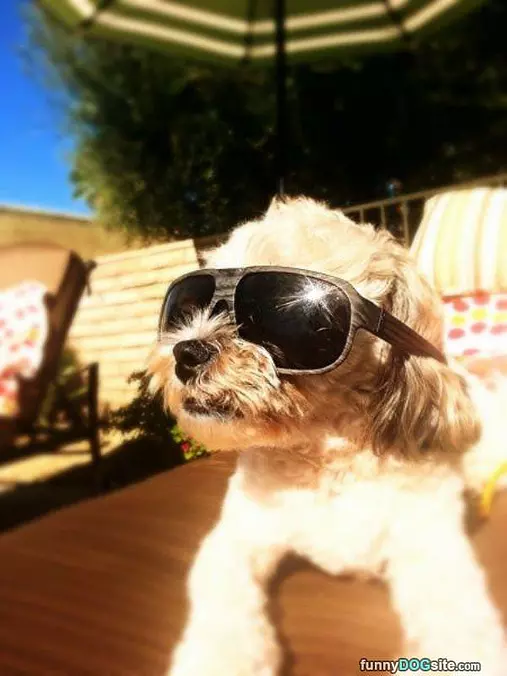 Protected From The Sun