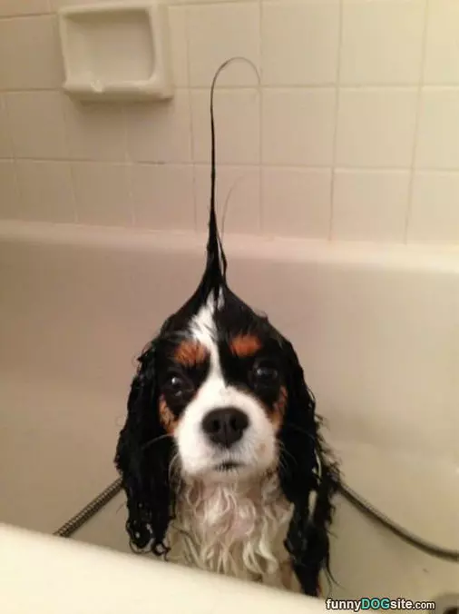 Spikey Hair