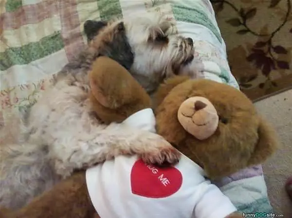 Hug Me