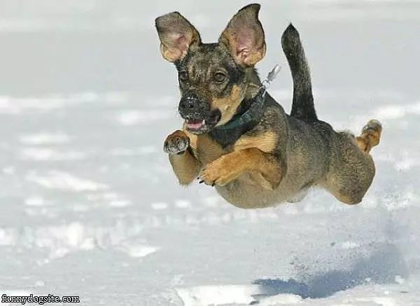 I Can Fly