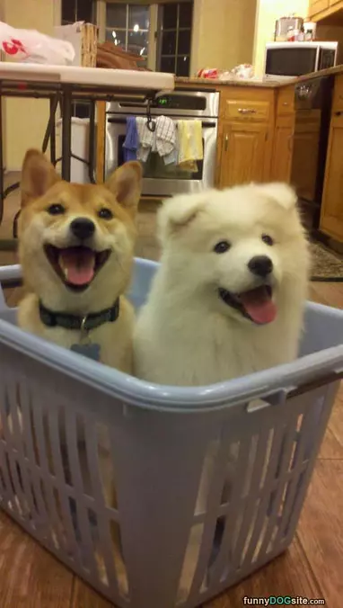 Laundry Time