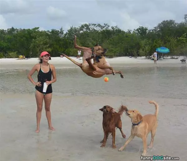 The Highest Jumper