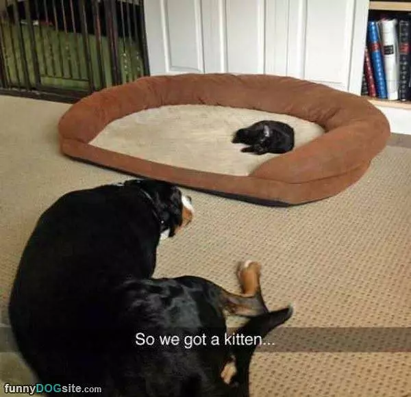 We Can All Fit