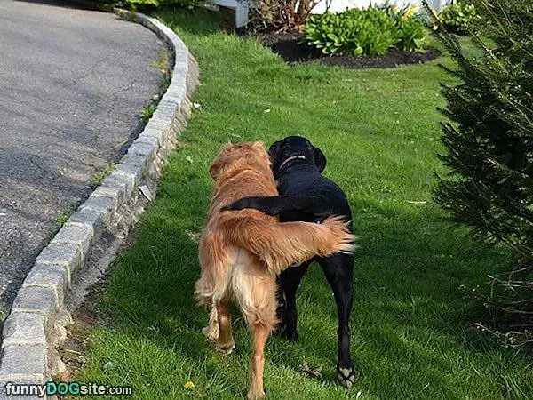 The Bestest Of Friends