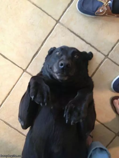 Hehehe Hehehe