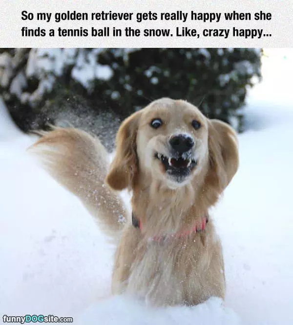 Gets Really Happy