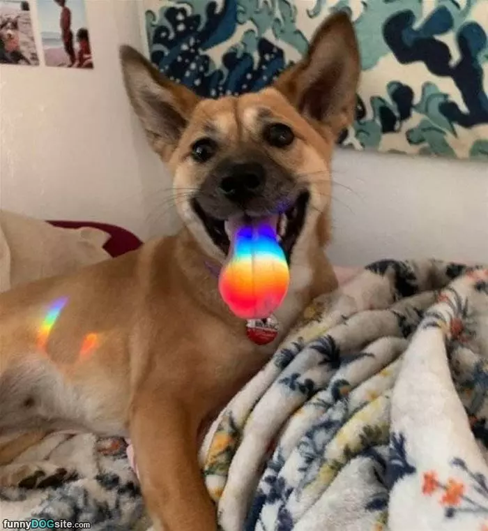 Rainbow Tongue