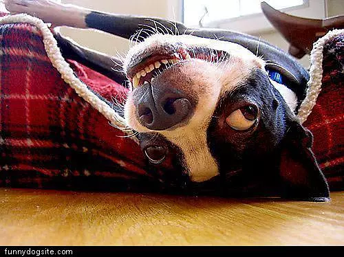 Upside Down Smile