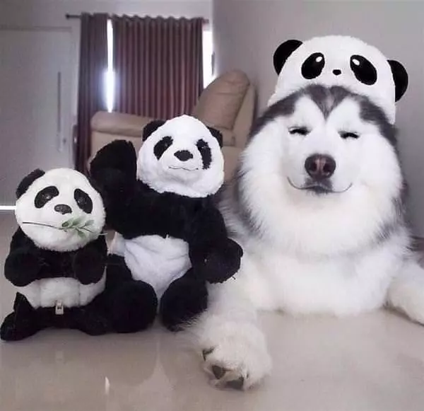 Me And My Buddies
